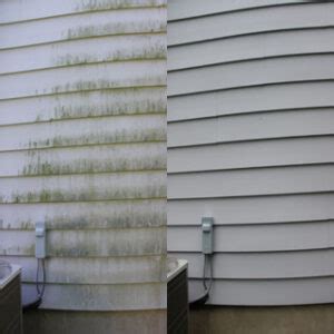 how to get green mold off metal house siding|how to clean mold off siding.